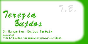 terezia bujdos business card